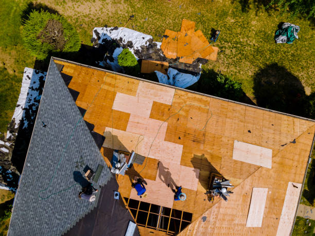 Best New Roof Installation  in Newaygo, MI