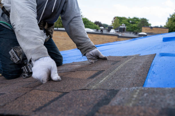 Best Roof Gutter Cleaning  in Newaygo, MI