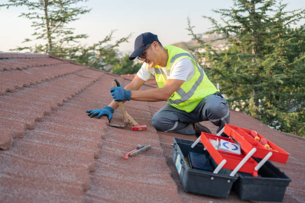 Residential Roof Replacement in Newaygo, MI