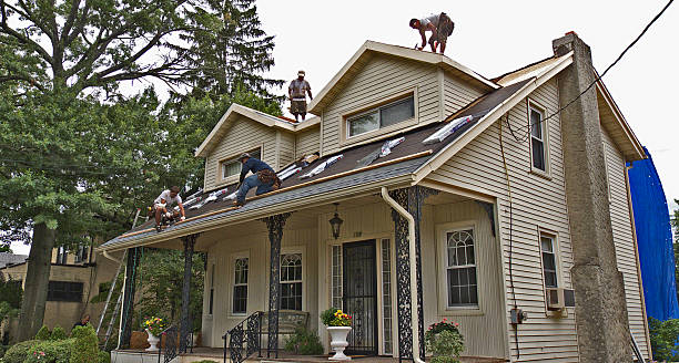 Best Commercial Roof Installation  in Newaygo, MI