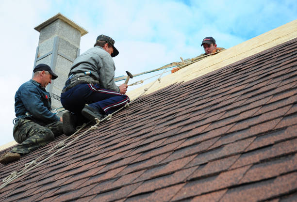 Best Gutter Installation and Roofing  in Newaygo, MI