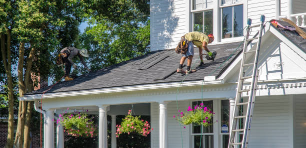 Best Roof Waterproofing Services  in Newaygo, MI