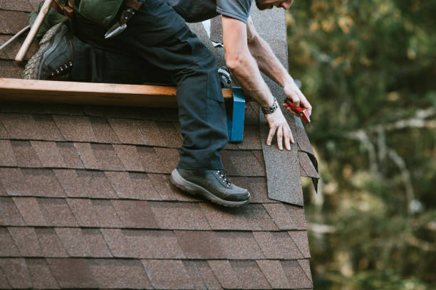 Best Residential Roof Replacement  in Newaygo, MI