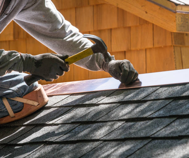 Best Roofing Contractor Near Me  in Newaygo, MI